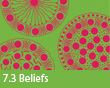 7.3 Beliefs