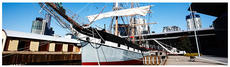 PollyWoodside Tall Ship