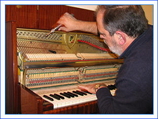 SP-Piano Tuners