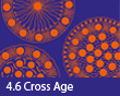 4.6 Cross- age