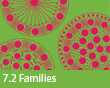 7.2 Families
